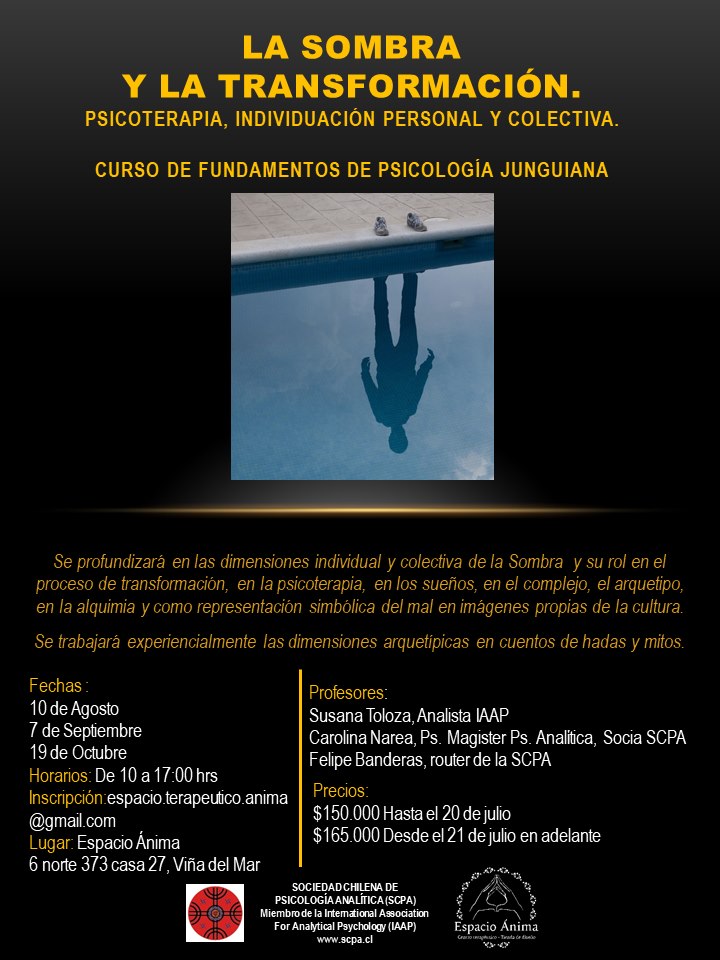 Curso la sombra y la transformación Viña del Mar
